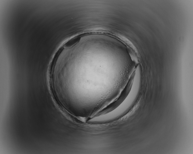 X0000099980989200806131355