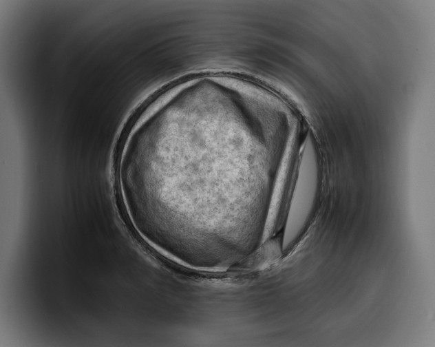 X0000099980990200806131355