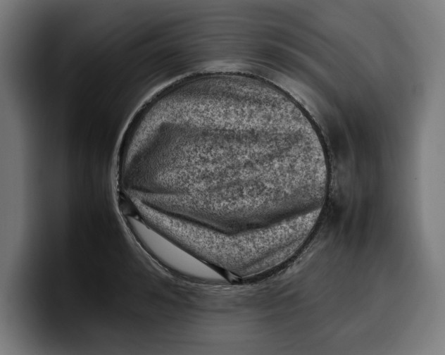 X0000099980992200806131355