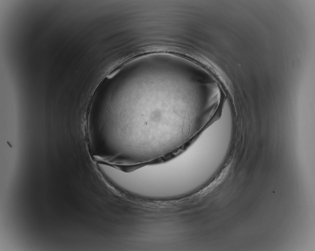 X0000099980993200806131355