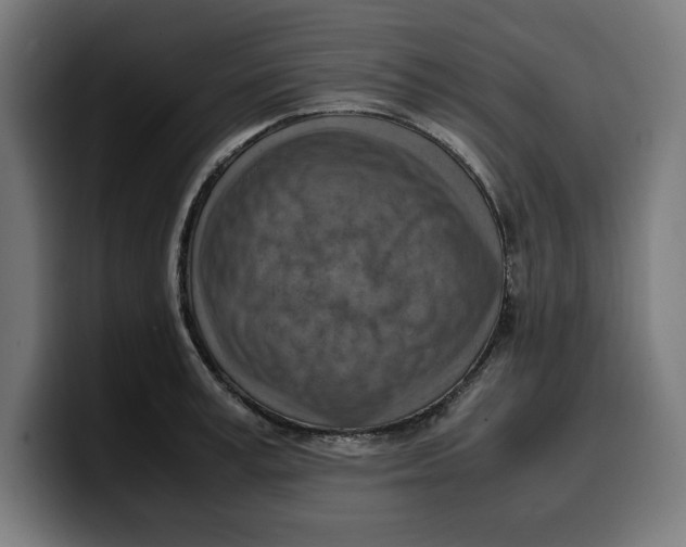 X0000099980995200806131355