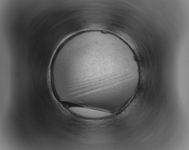 X0000099980996200806131355