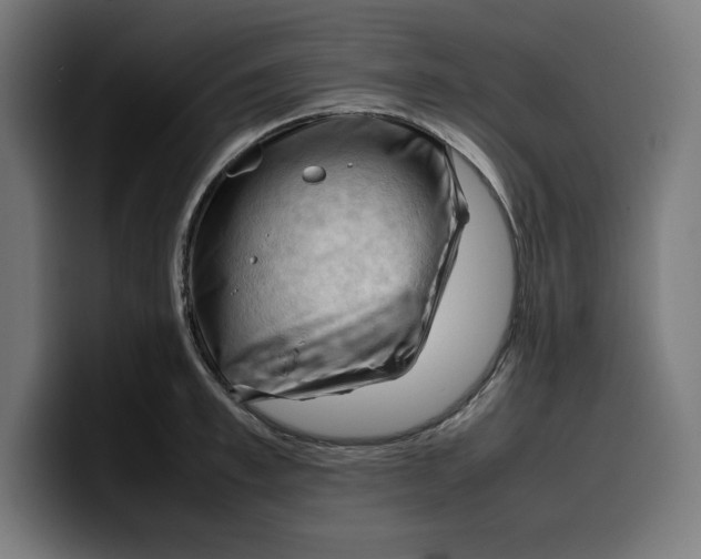 X0000099980997200806131355