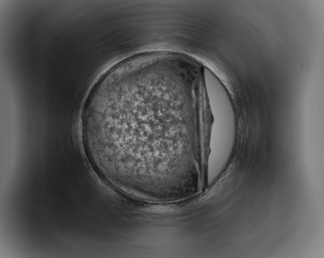 X0000099980998200806131355