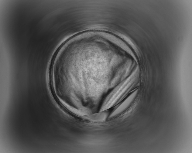 X0000099980999200806131355