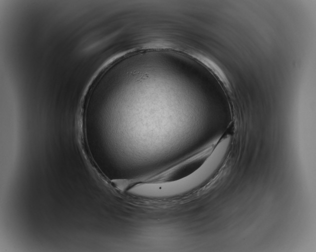 X0000099981000200806131355