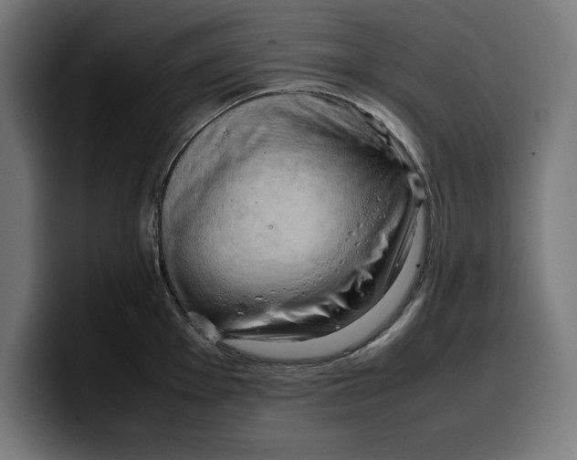 X0000099981001200806131355