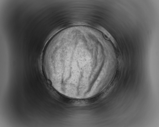 X0000099981002200806131355