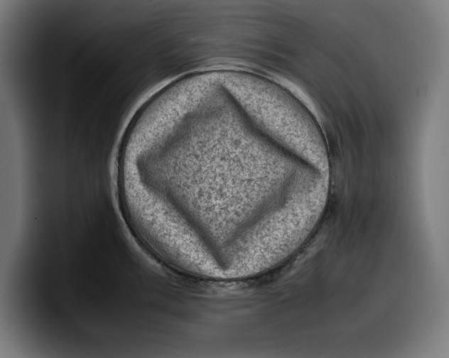 X0000099981003200806131355