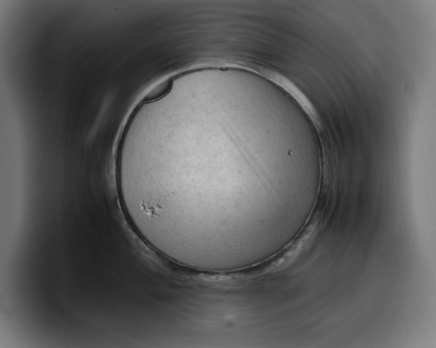 X0000099981004200806131355