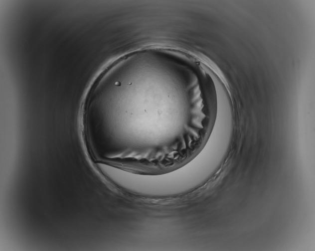 X0000099981005200806131355