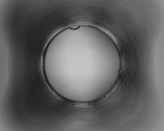 X0000099981006200806131355