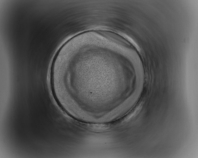 X0000099981007200806131355