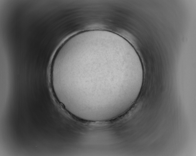 X0000099981008200806131355