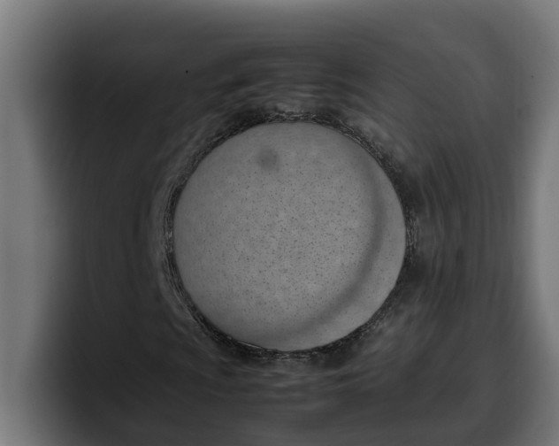 X0000099981009200806131354