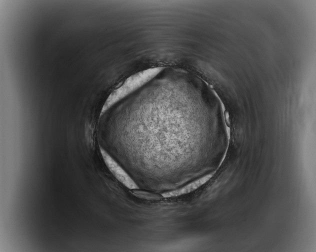 X0000099981010200806131355