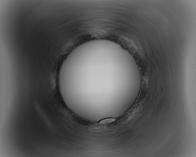 X0000099981012200806131355