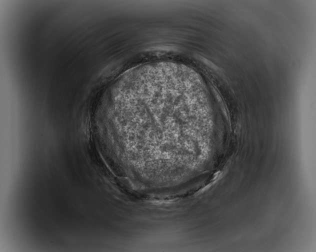 X0000099981014200806131355