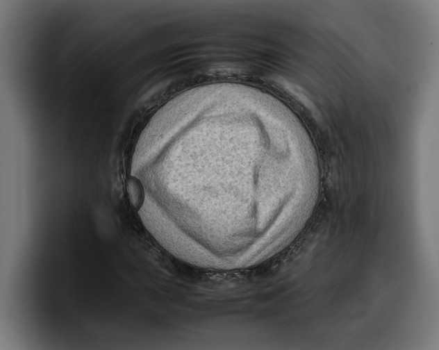 X0000099981015200806131355