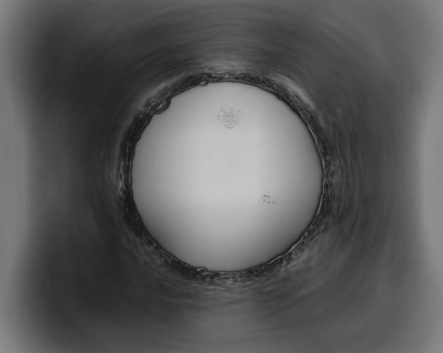 X0000099981016200806131355