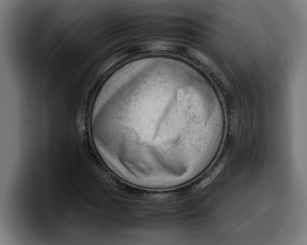 X0000099981017200806131355