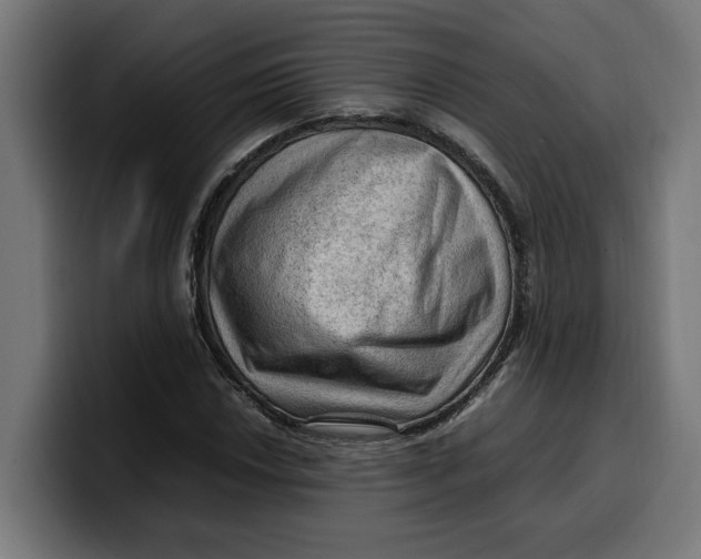 X0000099981018200806131355