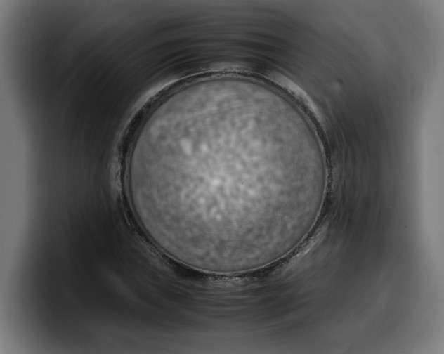 X0000099981019200806131355