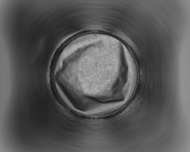 X0000099981020200806131355