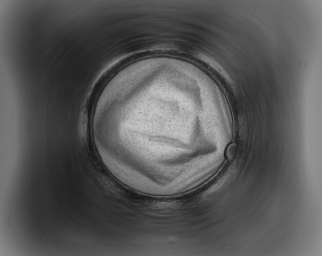 X0000099981021200806131355