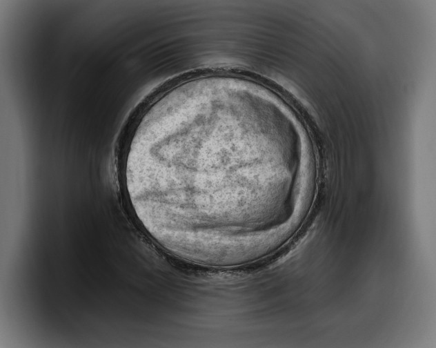 X0000099981022200806131355