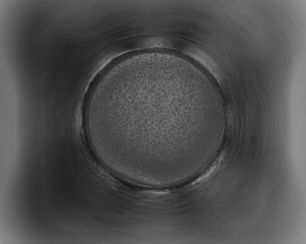 X0000099981023200806131355