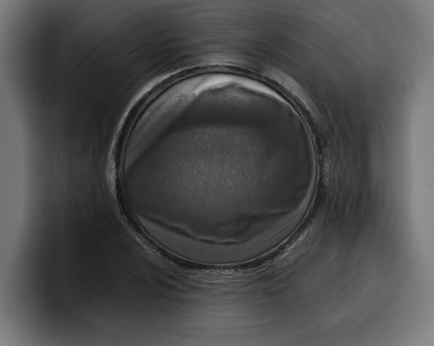 X0000099981024200806131355