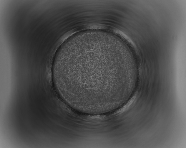 X0000099981025200806131355