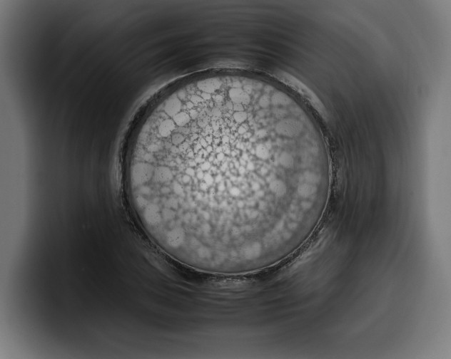 X0000099981027200806131355