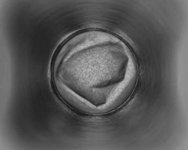 X0000099981028200806131355