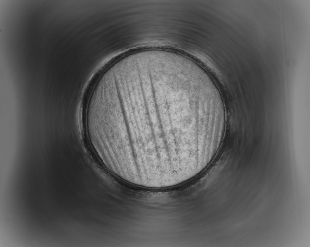 X0000099981030200806131355