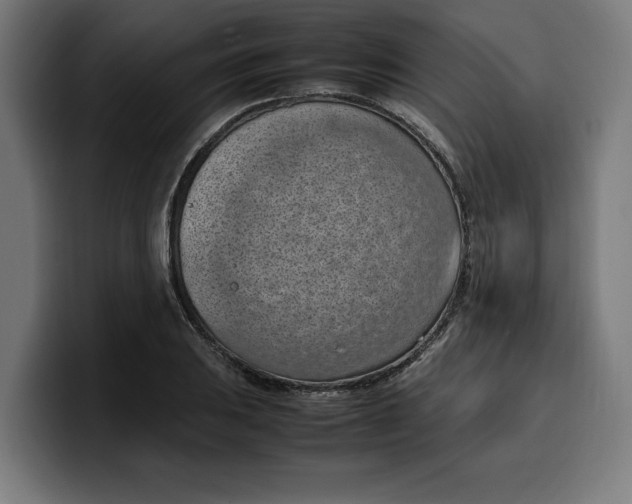 X0000099981031200806131355