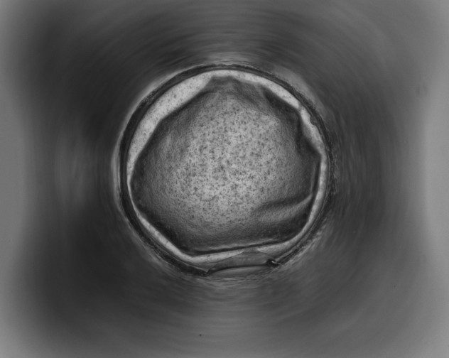 X0000099981032200806131355