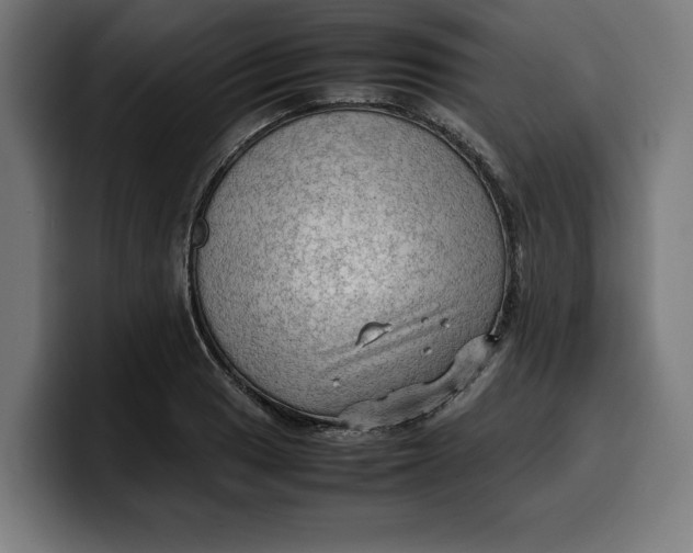 X0000099981033200806131355