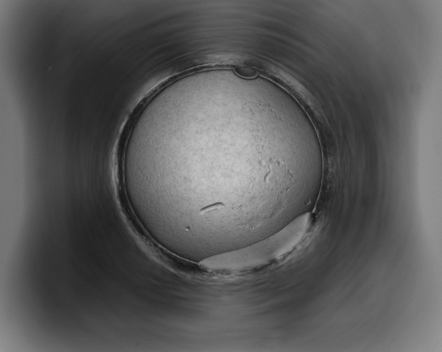 X0000099981034200806131355