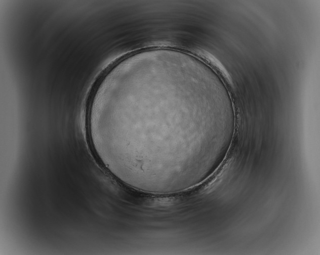 X0000099981035200806131355