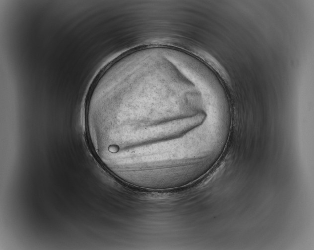 X0000099981036200806131355