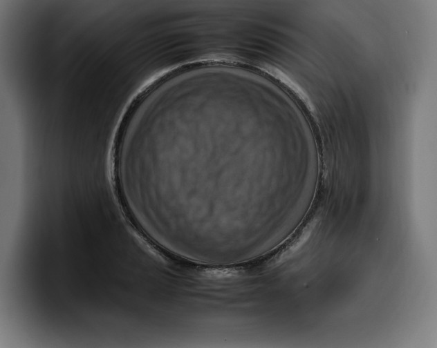 X0000099981037200806131355