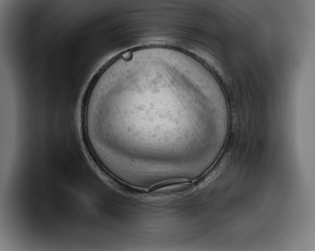 X0000099981038200806131355