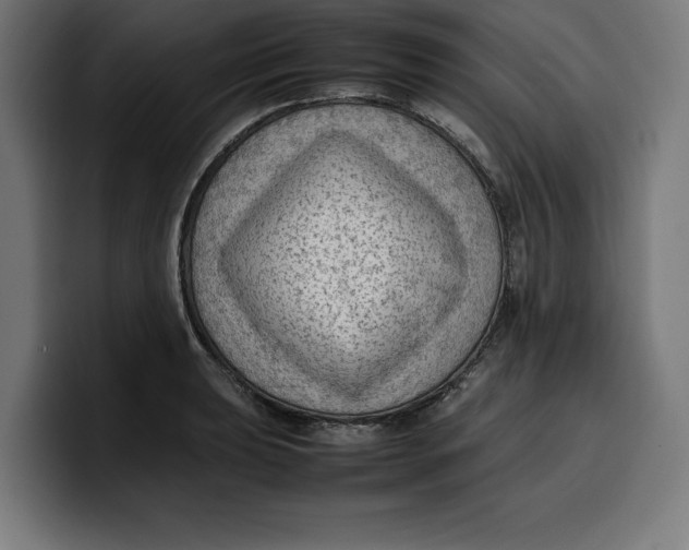 X0000099981039200806131355