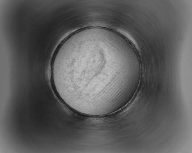 X0000099981040200806131355