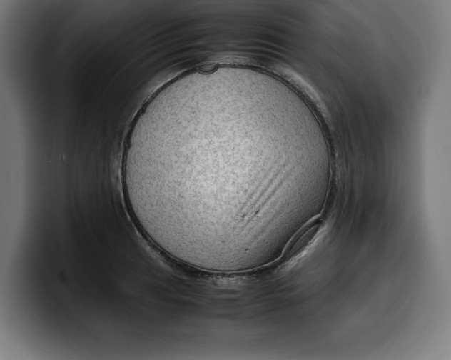 X0000099981041200806131355