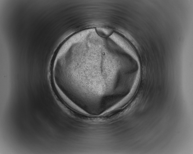 X0000099981042200806131355