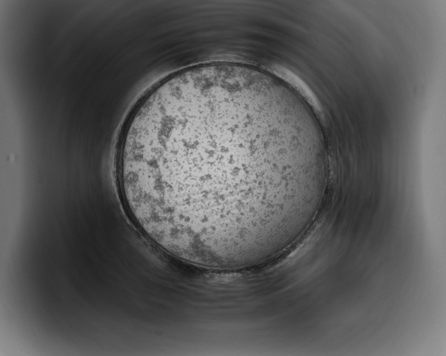 X0000099981043200806131355