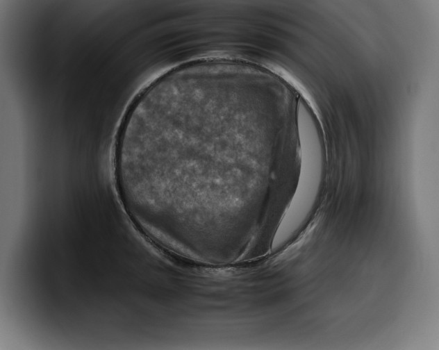 X0000099981045200806131355